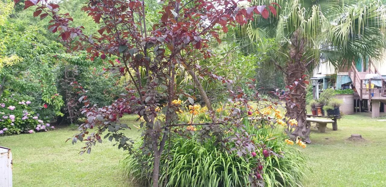 Bed & Breakfast Armonia Y Naturaleza Exclusiva *